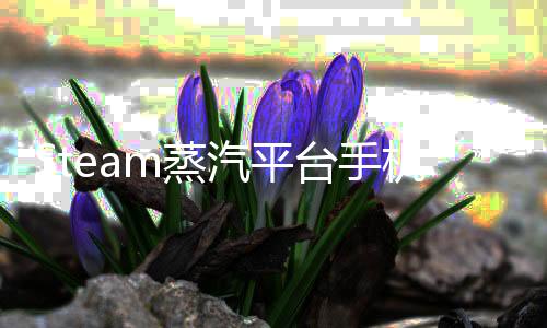 Steam蒸汽平台手机版