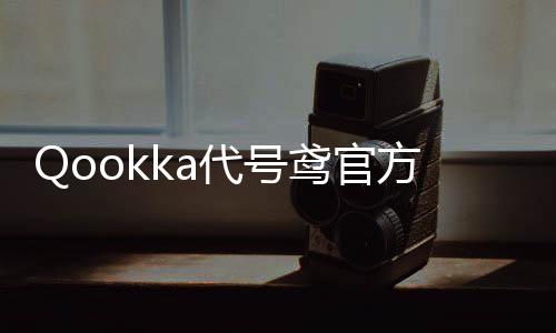 Qookka代号鸢官方简中服