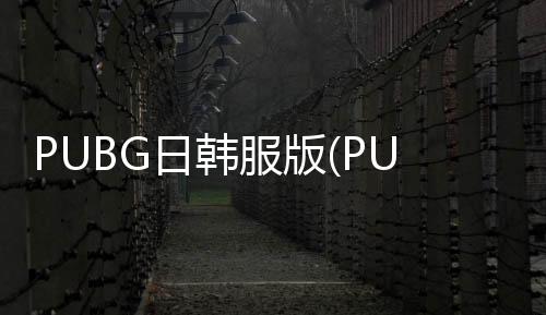 PUBG日韩服版(PUBG Mobile KR )