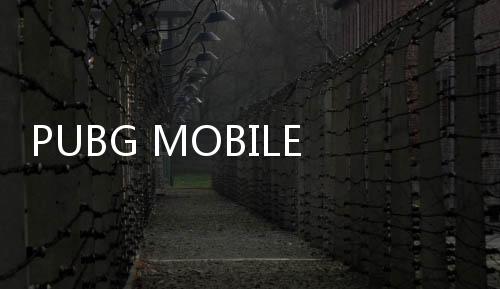 PUBG MOBILE TW绝地求生台服