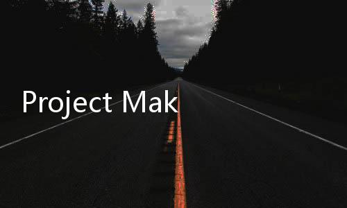 Project Makeover(完美改造游戏)
