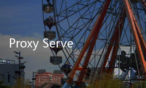 Proxy Server安卓版