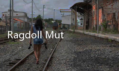 Ragdoll Mutilate 3D布偶残害沙盒3D