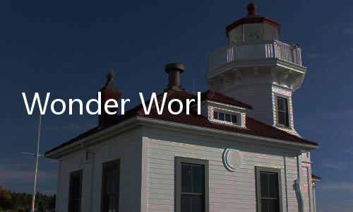 Wonder World: Fun with Friends奇妙世界与朋友一起玩