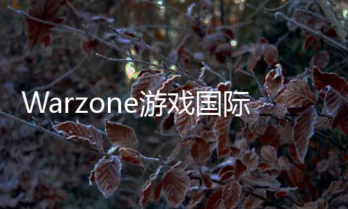 Warzone游戏国际服