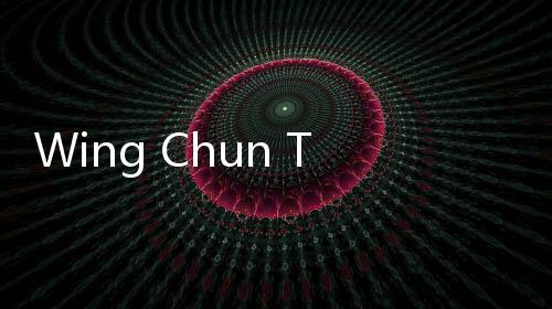 Wing Chun Trainer(咏春模拟器)