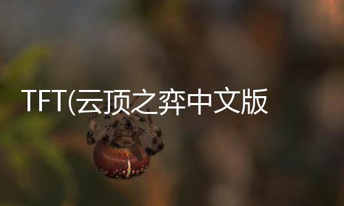 TFT(云顶之弈中文版)