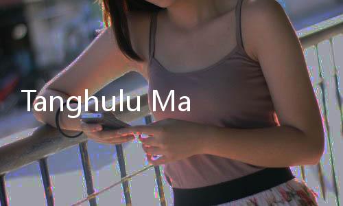 Tanghulu Master糖葫芦达人国际服