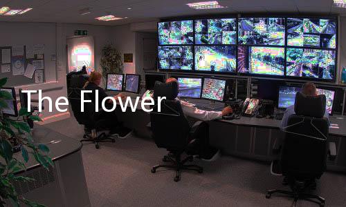 The Flower of Evil恶之花中文版