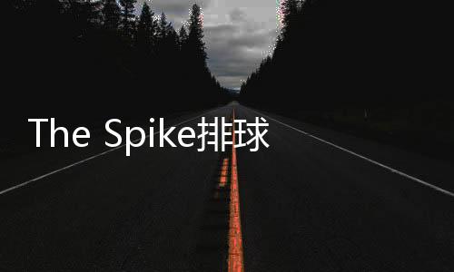 The Spike排球游戏手机版
