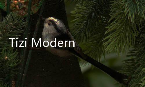 Tizi Modern Home  Room Design最新版