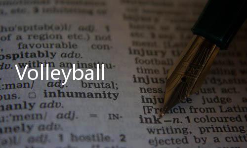 Volleyball Championship2023 游戏