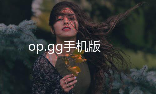 op.gg手机版
