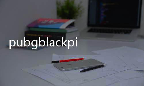 pubgblackpink国际服手游(PUBG MOBILE LITE)