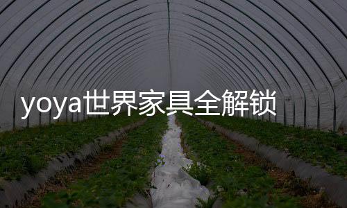 yoya世界家具全解锁